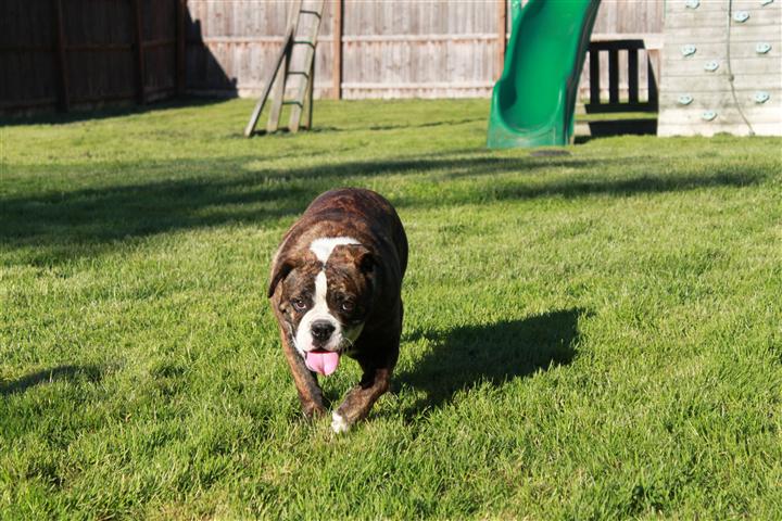Roxy