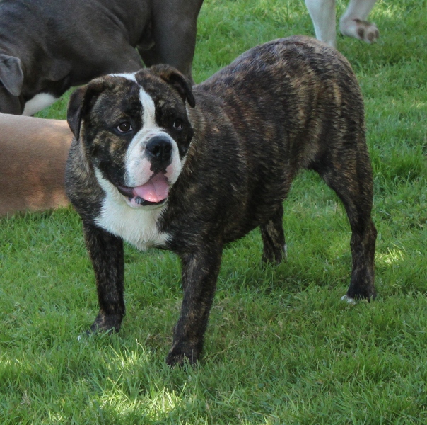 Roxy