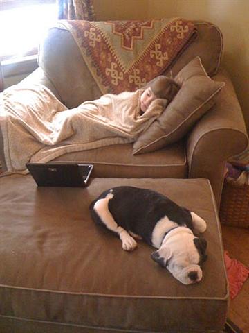 "Winston" male Olde English Bulldogge lives in VA