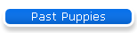 Past Puppies