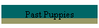 Past Puppies