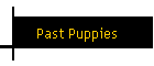 Past Puppies