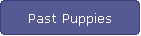 Past Puppies