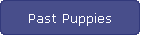 Past Puppies