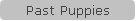 Past Puppies