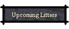 Upcoming Litters