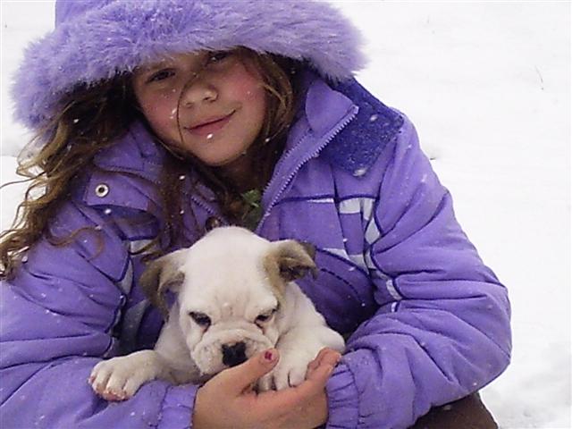 Hayley with Chloe female olde english bulldogge