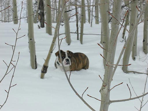 Epic lives in Telluride CO