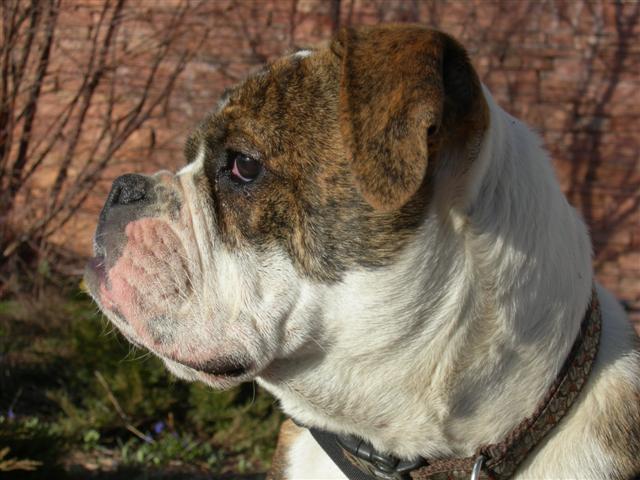 Epic - What a profile!!