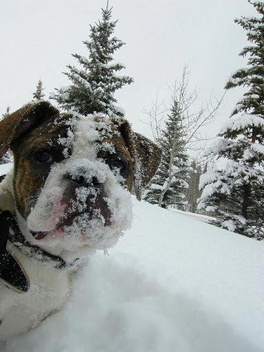 Epic of Telluride CO