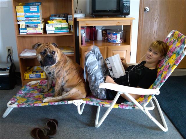 "Gunner" Olde English Bulldogge - lives in OH