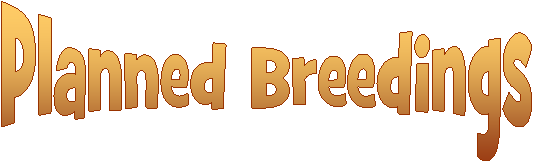 Planned Breedings