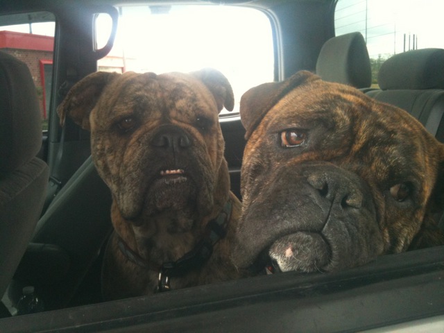Winston lives with his girlfriend Ashes in OH
