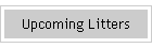 Upcoming Breedings